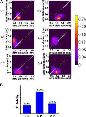 Macrochirality of Self-Assembled and Co-assembled Supramolecular Structures of a Pair of Enantiomeric Peptides